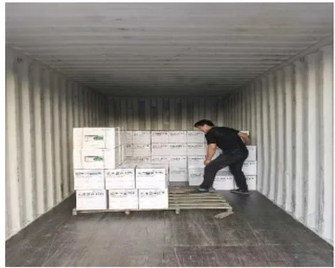 工作人员进行箱装货物集装箱装载作业